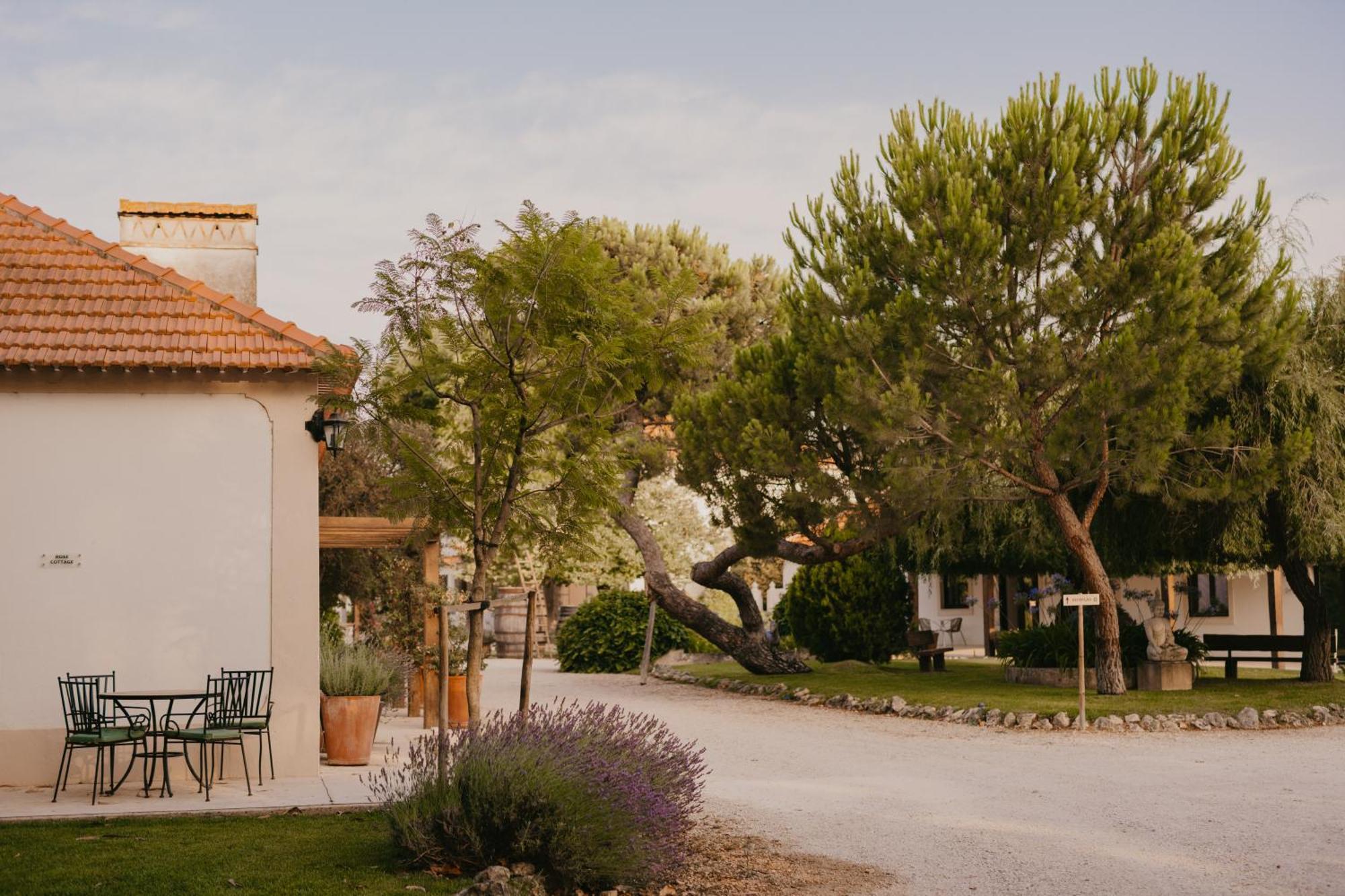 Quinta Carvalhas - The Green Farm Hotel Casevel Exterior photo